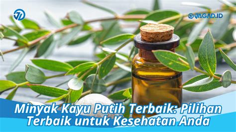 Minyak Kayu Putih Terbaik: Pilihan Terbaik untuk Kesehatan Anda - JAGAD ID