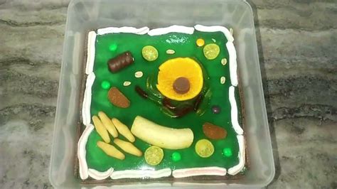 HOW TO MAKE EDIBLE PLANT CELL | SCIENCE PROJECT - YouTube