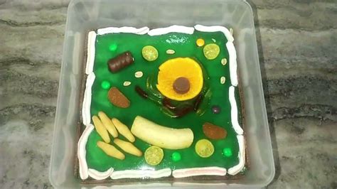 Edible Plant Cell Project Recipes