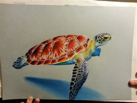 A Drawing of a Turtle in Color Pencil by Neeyellow on DeviantArt