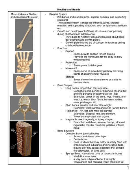 Nur 211 Unit 2 Mobility And Health Musculoskeletal System And