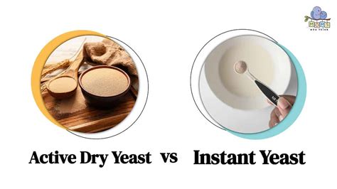 Active Dry Yeast Vs Instant Yeast Which Is Better And 4 Key Differences