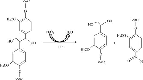 Lignin Peroxidase Functionalities And Prospective Applications Falade