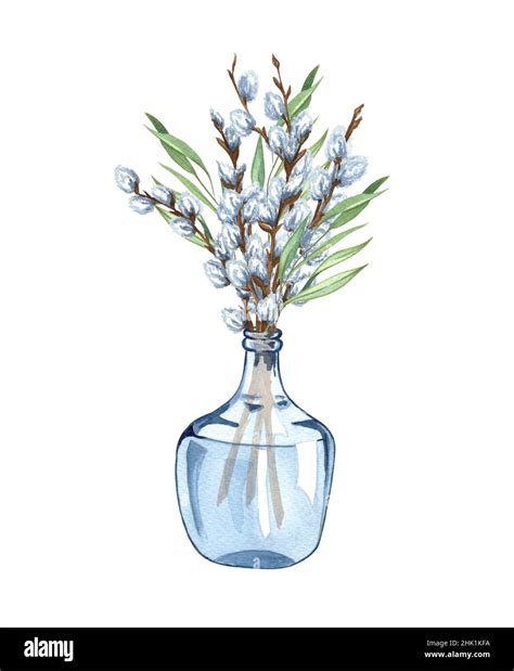 Watercolor Bunch Of Pussy Willow Twigs In A Glass Vase Spring Bouquet