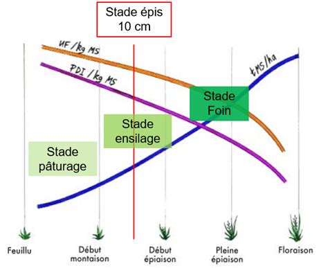 R Ussir Un Ensilage Dherbe De Qualit Actualit Seenovia