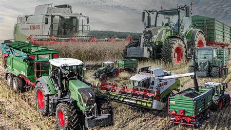 Niwa Rzepaku Na Wielk Skal X Claas Lexion X Fendt Gr