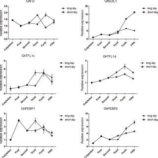 Cotton Pebp Like Genes Show Different Expression Patterns In Cultivated