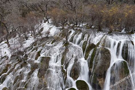 3 Days Jiuzhaigou Winter Tour