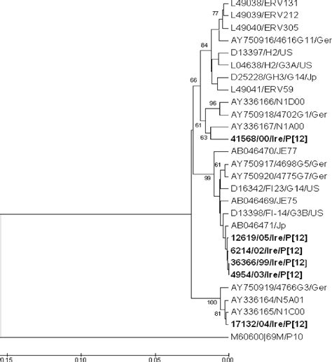 Molecular Characterization Of Equine Rotavirus In Ireland Journal Of