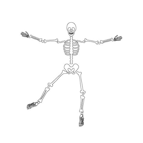 Premium Vector Halloween Scary Bones Skeleton