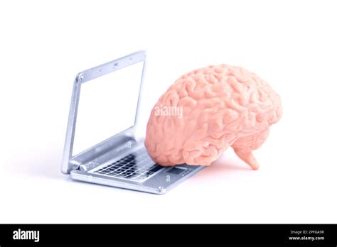 Toy Human Brain Placed Next To A Miniature Laptop Isolated On White