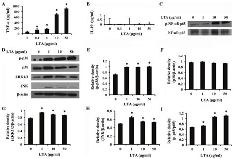 Release Of A Tumor Necrosis Factor‐ α Tnf‐ α And B Interleukin