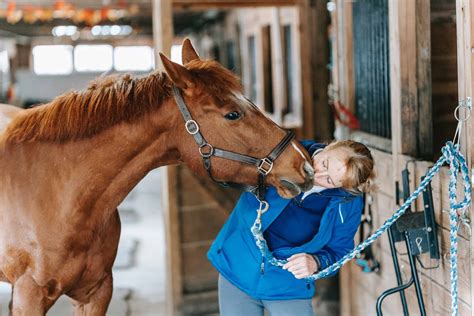 Cleaning Stables: How to Properly Clean and Disinfect - All About Horses