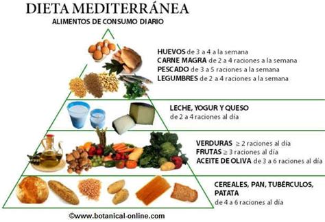 Pirámide De Alimentos De La Dieta Mediterránea