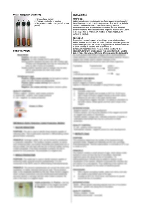 Solution Microbiology Reviewer Microbiology Reviewer Microbiology