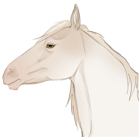 Waltzing Matilda Headshot By Petrichorcrown By Remuda Livery On
