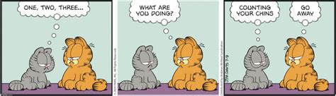 10 Funniest Garfield Comics Starring Nermal United States KNews MEDIA