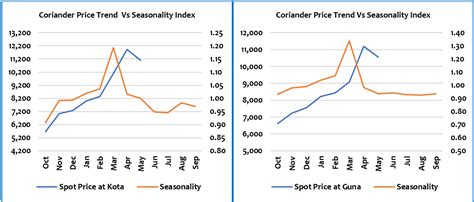 Weekly Coriander Dhaniya Report Commodity Outlook Agribazaar