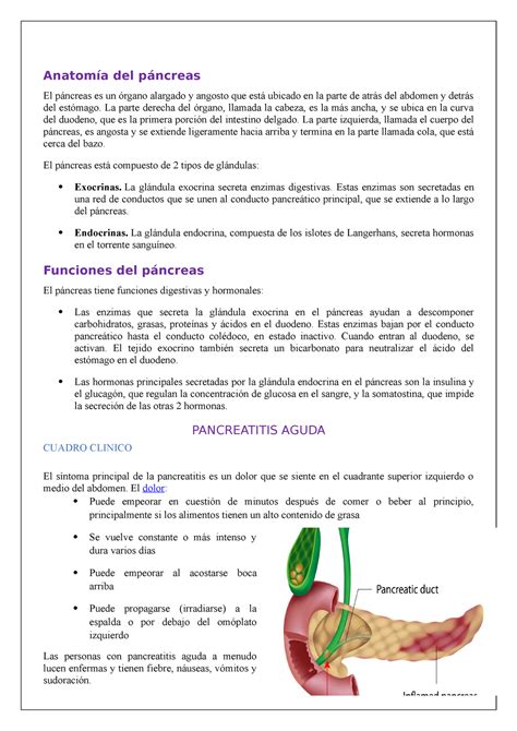 Resumen Patologia del Pancreas Anatomía del páncreas El páncreas es