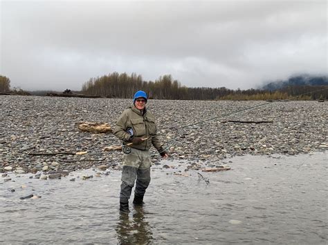 Skeena Steelhead Are Having A Good Year What Does That Mean Wild