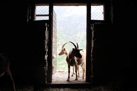 Invallemaggia Il Portale Per Chi Vive La Vallemaggia Giusto In Tempo