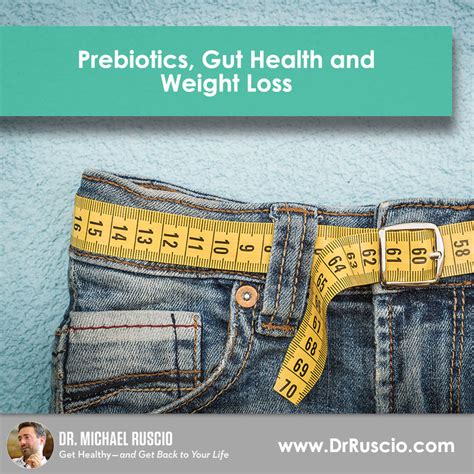 Prebiotics, Gut Health, and Weight Loss