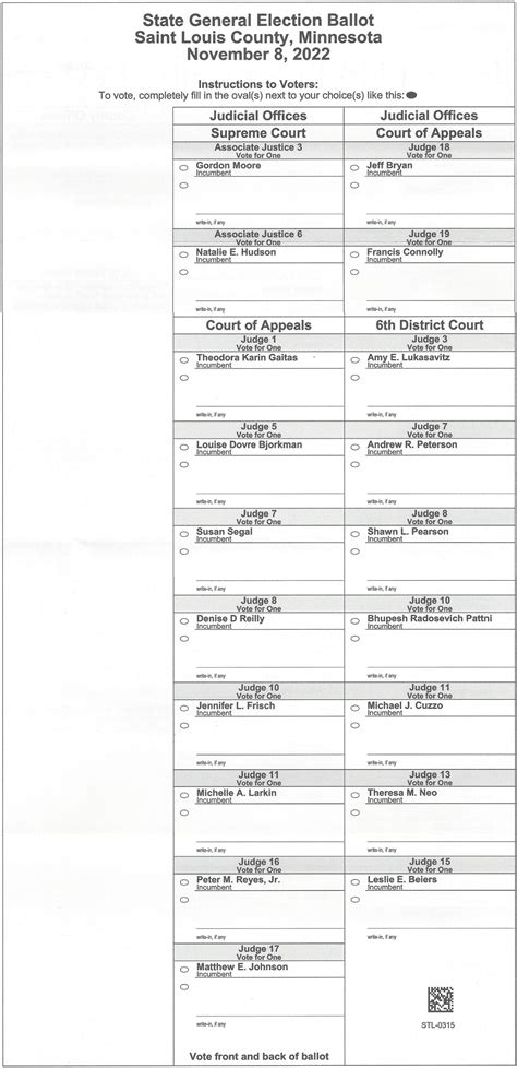 Duluth 2022 General Election Sample Ballot Perfect Duluth Day