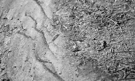 Silty Soil Suggestions Amending And Improving Silt • Tasteandcraze