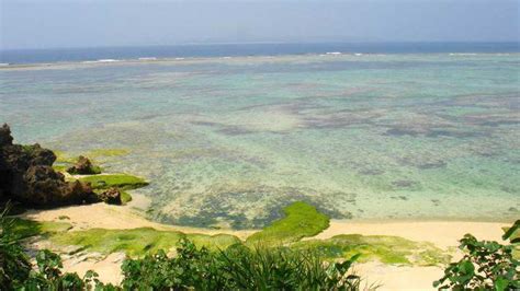 NamicoOcean on Twitter RT OKINAWA keshiki 本部町海洋博公園 亀の浜 https t