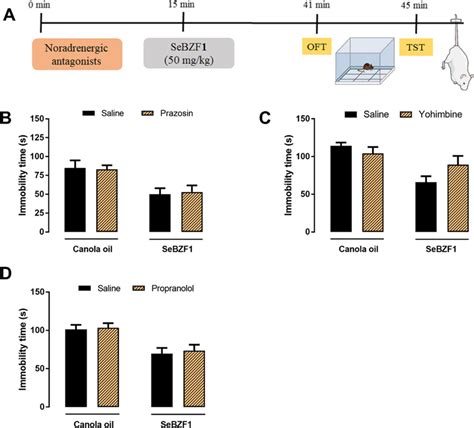 Effects Of The Pre Administration Of Noradrenergic Antagonists On The