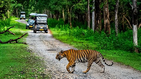 Kabini Spectacular Landscapes And Wildlife Karnataka Tourism