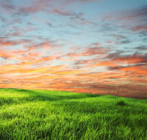 Bayanbulak Grassland Stock Image Image Of Animals Lake 6070749