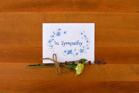 Sympathy Cards, 10 Pack, in Sympathy Cards, Bulk Sympathy Cards, Condolence Cards, Bereavement ...