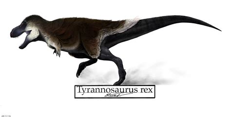 Tyrannosaurus rex by BackOcean on DeviantArt