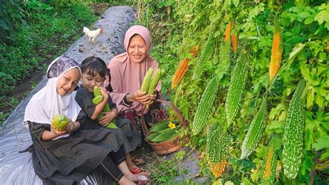 Memetik Pare Di Kebun Bersama Cucu Masak Tumis Pare Teri Keripik