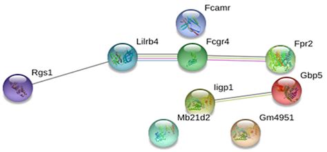 Frontiers Transcriptome Analysis Identifies Immune Markers Related To Visceral Leishmaniasis