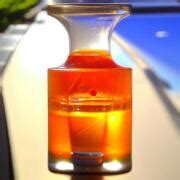 Naked Neroli BORNTOSTANDOUT Perfume A Fragrance For Women And Men