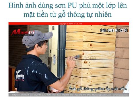 Gỗ thông pallet bán gỗ thông pallet mua gỗ thông pallet gỗ thông