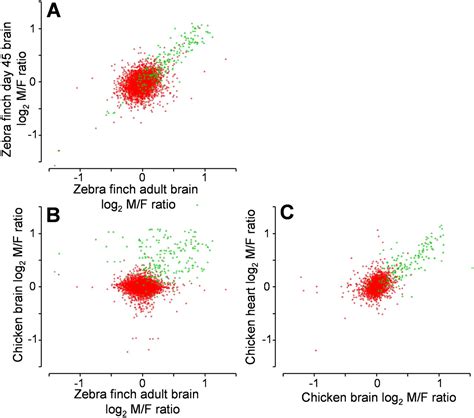 Sex Bias And Dosage Compensation In The Zebra Finch Versus Chicken