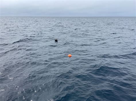 Sound Bytes Adventures Of A Drifting Buoy Noaa Fisheries