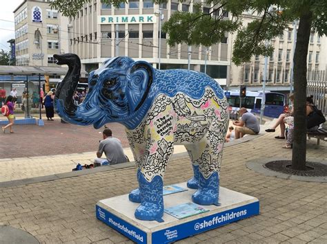 Herd Of Sheffield Effie Graham Hogg Geograph Britain And Ireland