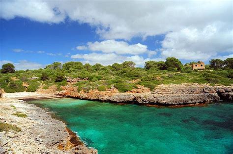 Strandf Hrer Mallorca Cala Brafi Nachrichten Aus Mallorca Spanien