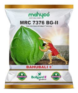 Mahyco Cotton