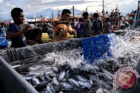 Odsk Dorong Peningkatan Sektor Kelautan Perikanan Antara News