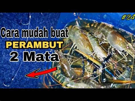 Cara Membuat Perambut 2 Mata Untuk Memancing Udang Galah YouTube