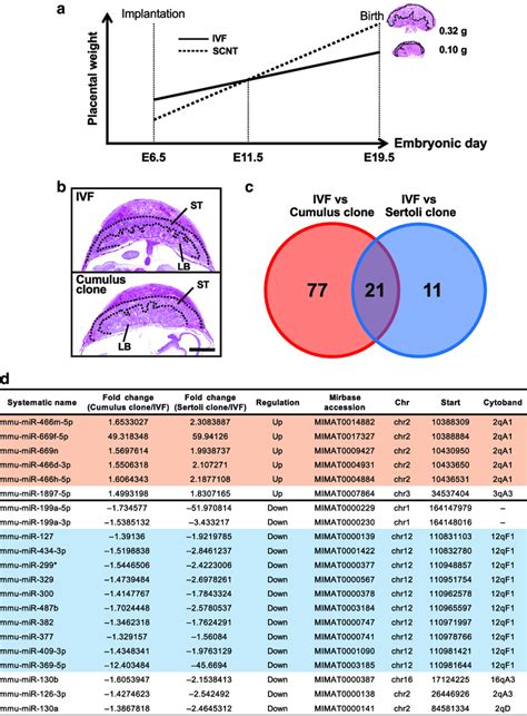 Expression Analysis Of MiRNAs In IVF And SCNT Derived Placentas At