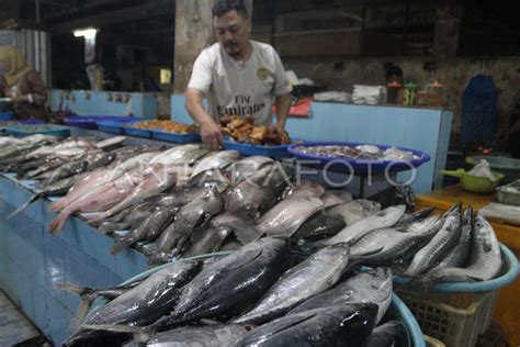 PASOKAN IKAN LAUT KURANG AKIBAT CUACA BURUK ANTARA Foto