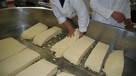 Cheese Making: Where Dairy Meets Materials Science