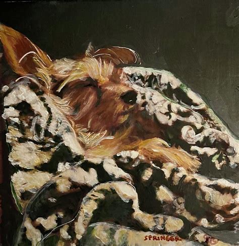 Sleeping Terrier Painting By Gary Springer Fine Art America