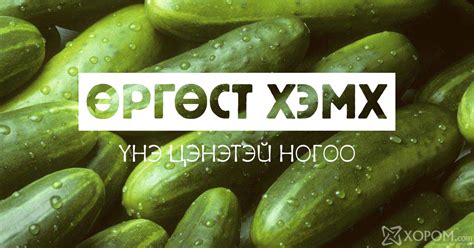 Өргөст хэмх үнэлж баршгүй ач тустай үнэ цэнэтэй хүнсний ногоо